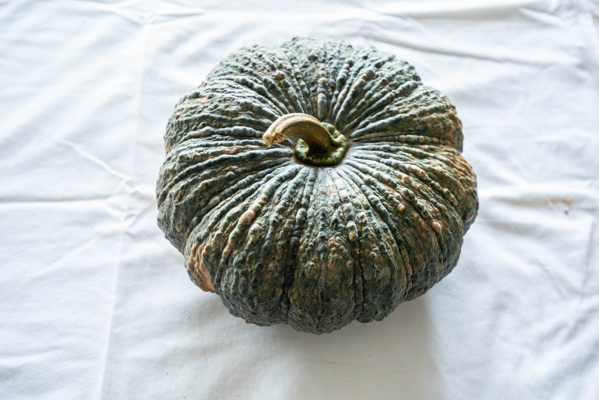 A dark green ribbed pumpkin