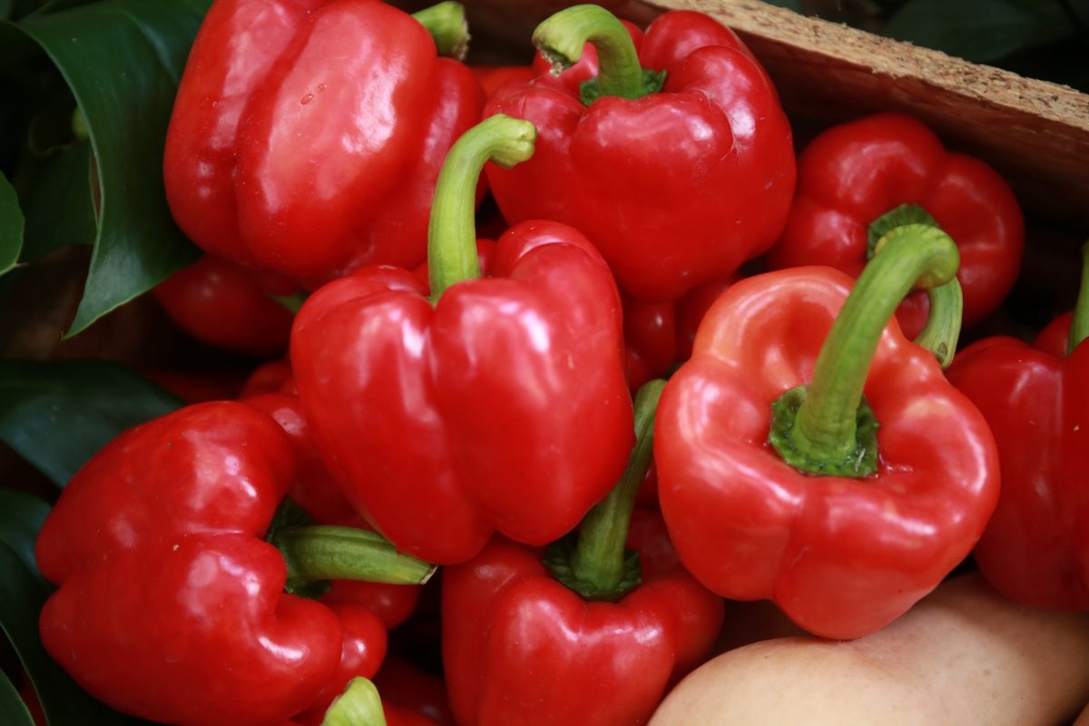 Red bell peppers in a wooden crate